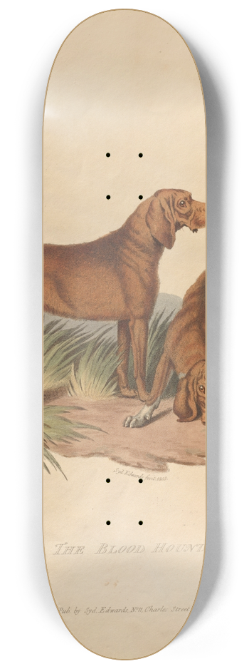 Sydenham Edwards - The Blood Hound 8.25 inch art skate deck