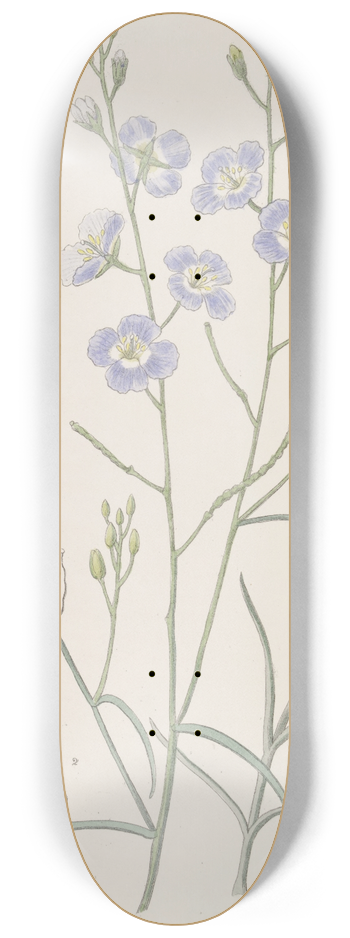 Sydenham Edwards - Trifid Suncress 8.25 inch art skate deck