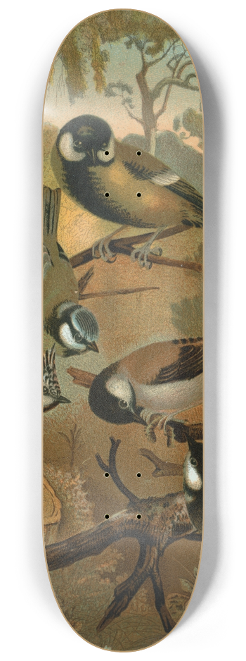 John George Wood - Titmice 8.25 inch art skate deck