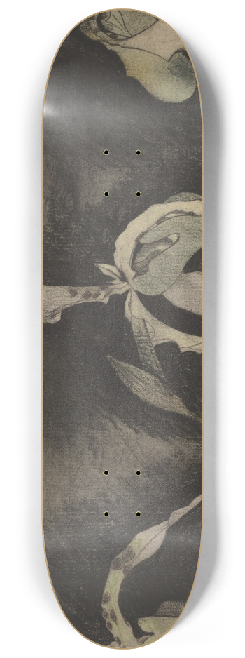 Theo Nieuwenhuis - Drie orchideen 8.25 inch art skate deck
