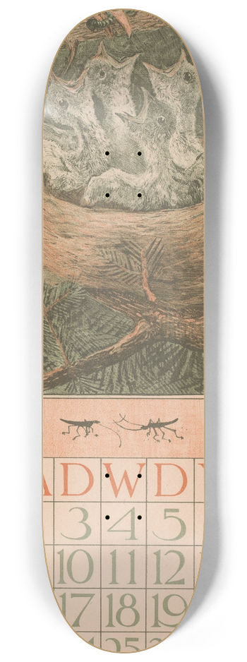 Theo van Hoytema - Kalenderblad juni met jonge vogels 8.25 inch art skate deck