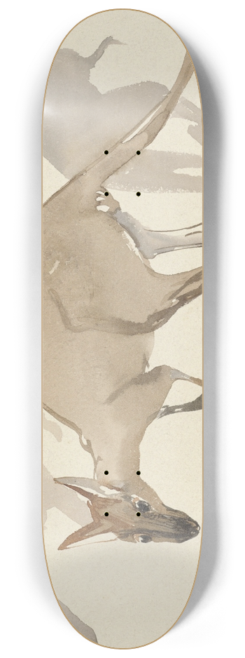 Theo van Hoytema - Kangoeroes 8.25 inch art skate deck