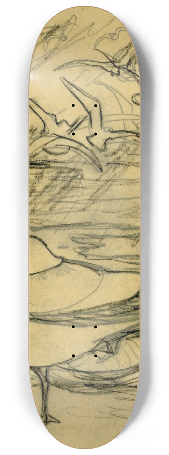 Theo van Hoytema - Meeuwen 8.25 inch art skate deck