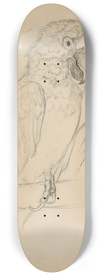 Theo van Hoytema - Twee papegaaien 8.25 inch art skate deck
