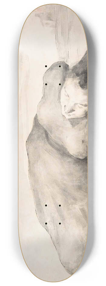 Thodule Ribot - War Scene (A Female Casualty) 8.25 inch art skate deck