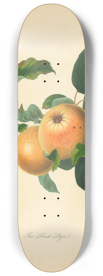 Thomas Andrew Knight - Forest Styre 8.25 inch art skate deck