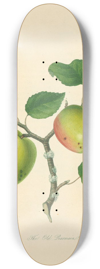 Thomas Andrew Knight - Old Pearmain 8.25 inch art skate deck