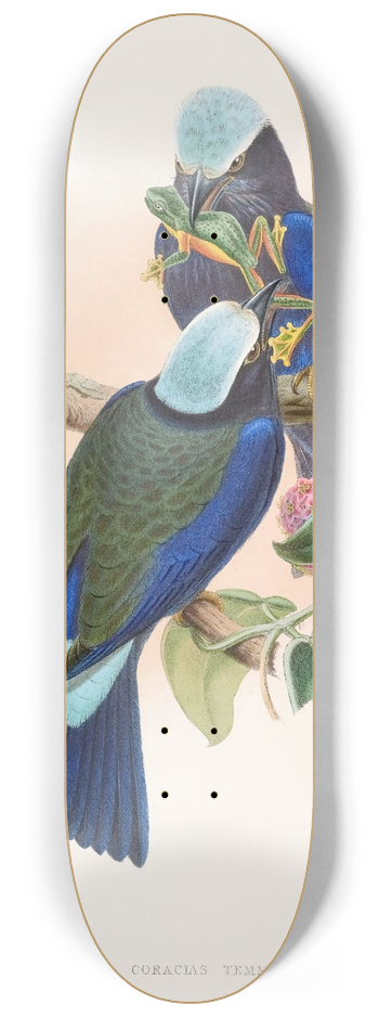 John Gould - Temmincks Roller 8.25 inch art skate deck