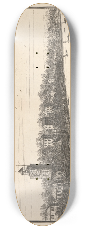 Thomas Preist - Mortlack 8.25 inch art skate deck