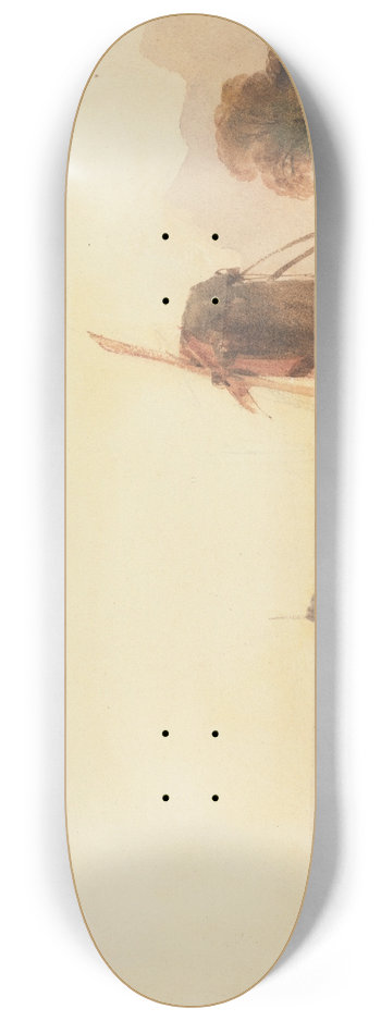 Thomas Shotter Boys - Landscape with Windmills 8.25 inch art skate deck