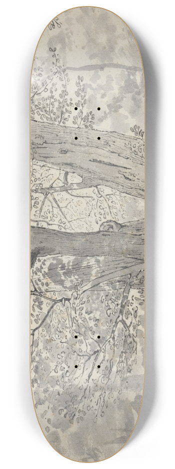 Thomas Stothard - Tree Study 8.25 inch art skate deck