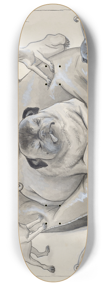 Thomas Theodor Heine - Mpse 8.25 inch art skate deck