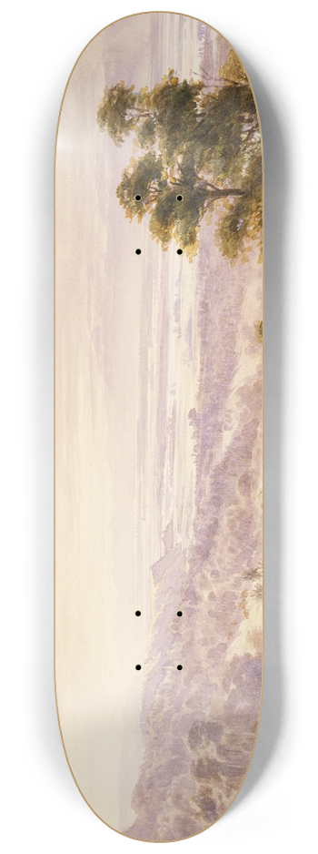 John Gully - Landscape [Waimea Plains, Nelson] 8.25 inch art skate deck