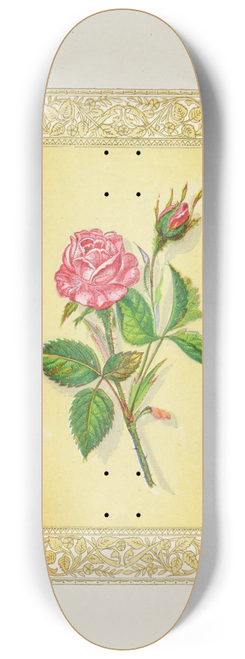 John Henry Ingram - Rose 8.25 inch art skate deck