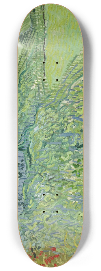 Vincent van Gogh - Vineyards at Auvers 8.25 inch art skate deck