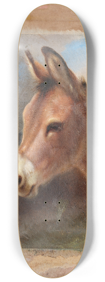 Walter Hunt - Head Study Of A Donkey 8.25 inch art skate deck
