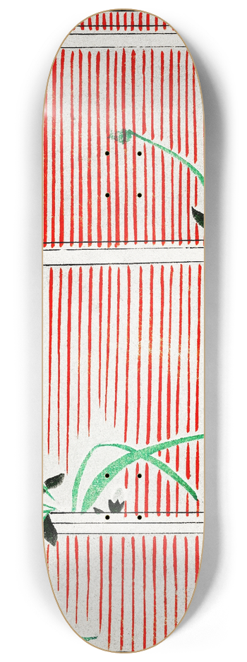 Watanabe Seitei - Morning glory illustration 8.25 inch art skate deck