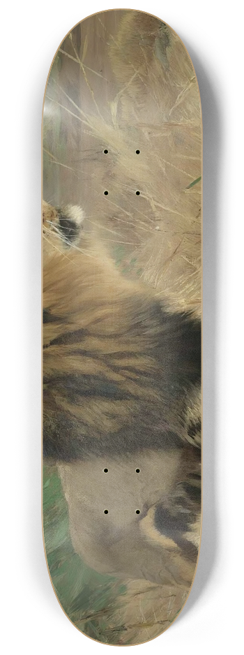 Wilhelm Kuhnert - Beberlwe (Berber Lion) 8.25 inch art skate deck
