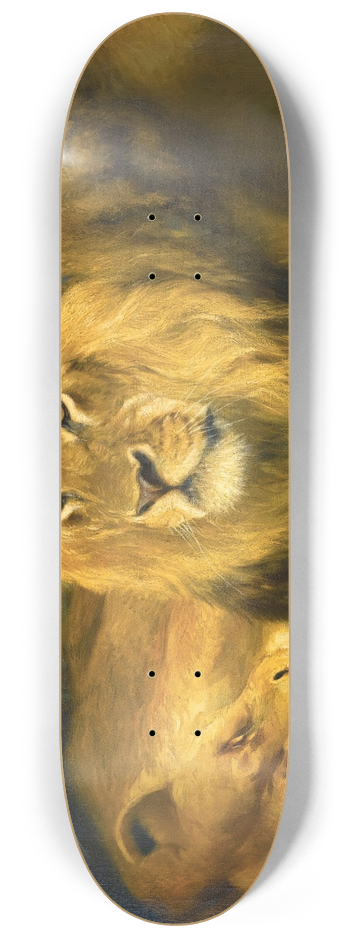 Wilhelm Kuhnert - Resting Lions 8.25 inch art skate deck