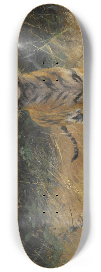 Wilhelm Kuhnert - TigerOn The Watch 8.25 inch art skate deck