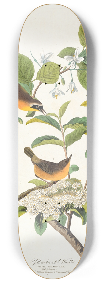 John James Audubon - Yellow-breasted warbler 8.25 inch art skate deck