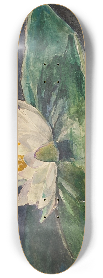 John La Farge - Water Lily 8.25 inch art skate deck