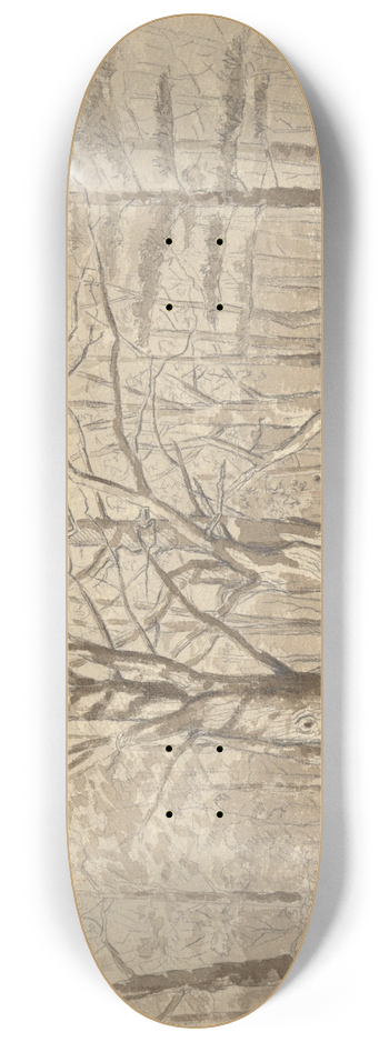 William Fowler Hopson - CollegeWoods 8.25 inch art skate deck
