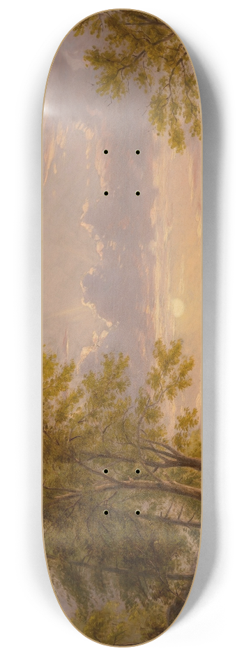 William Rickarby Miller - Homeward Bound 8.25 inch art skate deck