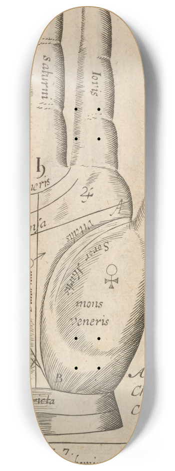 William Salmon - Plate XXII: Palmistry chart of right hand 8.25 inch art skate deck
