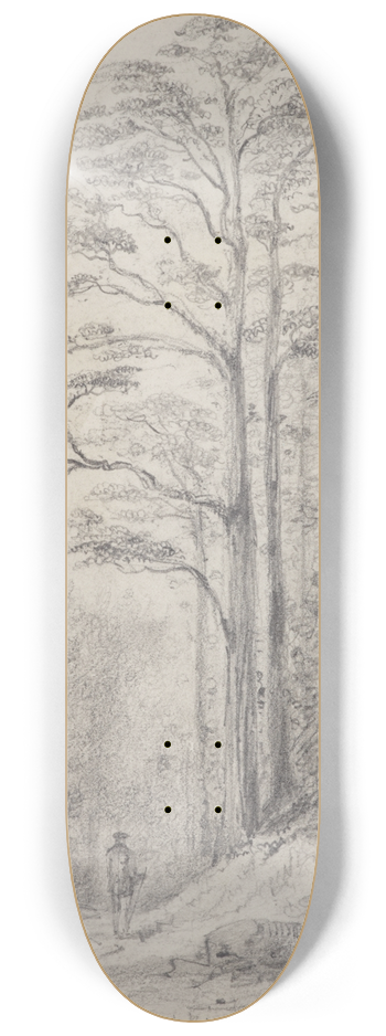 William Swainson - Black birch forest, Upper Hutt 8.25 inch art skate deck