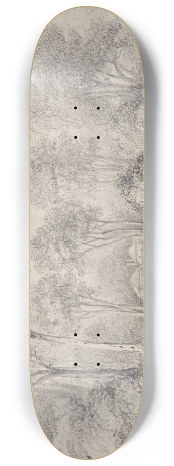 William Swainson - Newry, Mr Molesworths, River Hutt 8.25 inch art skate deck