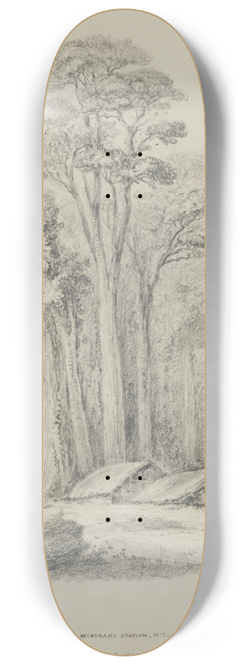 William Swainson - Wirinaki Station 8.25 inch art skate deck