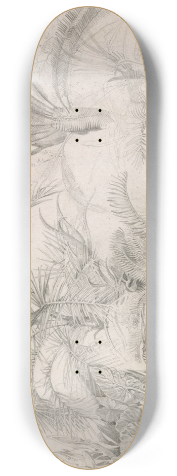 William Trost Richards - Palms 8.25 inch art skate deck