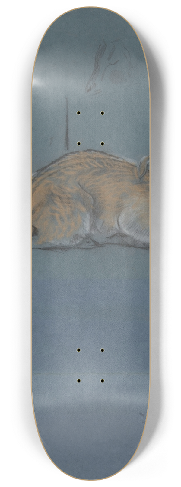 John Macallan Swan - Studies of a Kid or Fawn 8.25 inch art skate deck