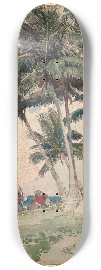 Winslow Homer - The Buccaneers 8.25 inch art skate deck