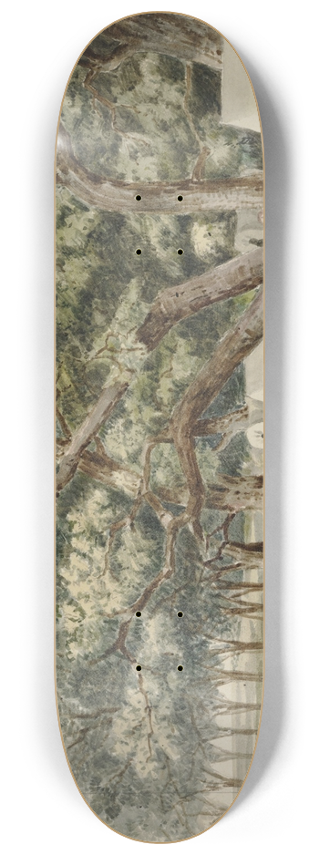 John Mix Stanley - A CottonwoodGrove 8.25 inch art skate deck