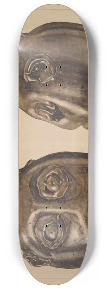 Yolande Delasser - Grotesque Jug 8.25 inch art skate deck