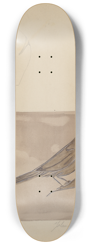 Yolande Delasser - Jug 8.25 inch art skate deck