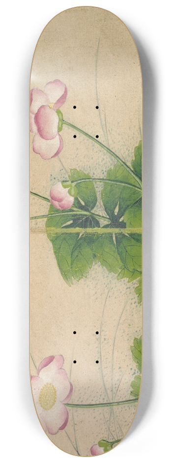 Zhang Ruoai - Mallow flowers 8.25 inch art skate deck