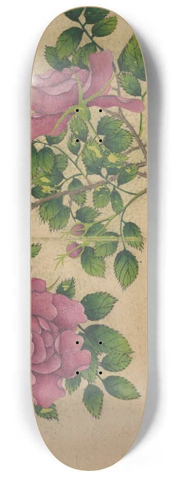 Zhang Ruoai - Rose 8.25 inch art skate deck