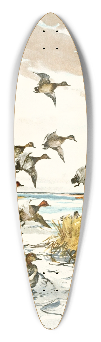 Frank Weston Benson  - Red-Heads Coming In 39.3 inch art pintail longboard deck