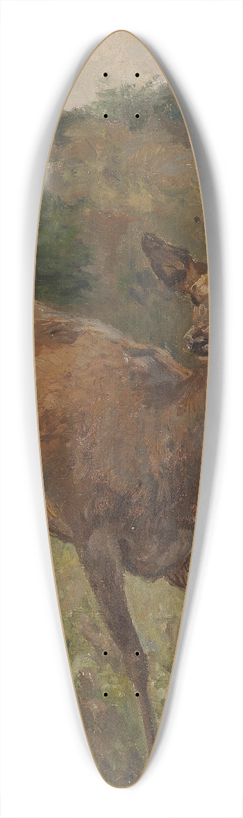 Franz Xaver von Pausinger - Rotwild 39.3 inch art pintail longboard deck