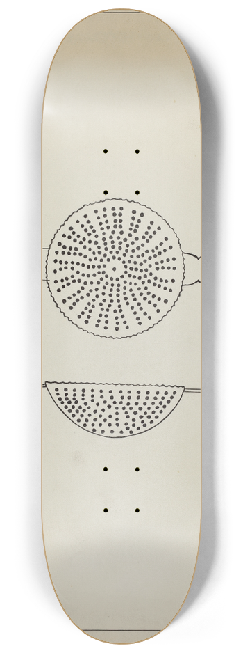 John R. Towers - Silver Punch Strainer 8.25 inch art skate deck