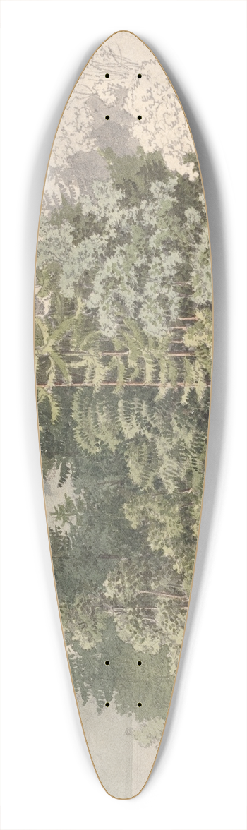 Friedrich Salath - Alpine Landscape 39.3 inch art pintail longboard deck