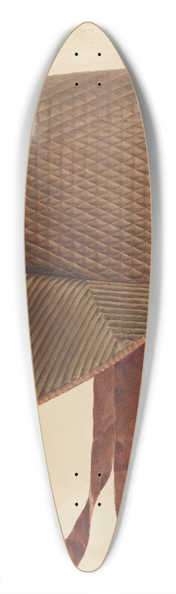 Fritz Boehmer - Zoar Bonnet 39.3 inch art pintail longboard deck