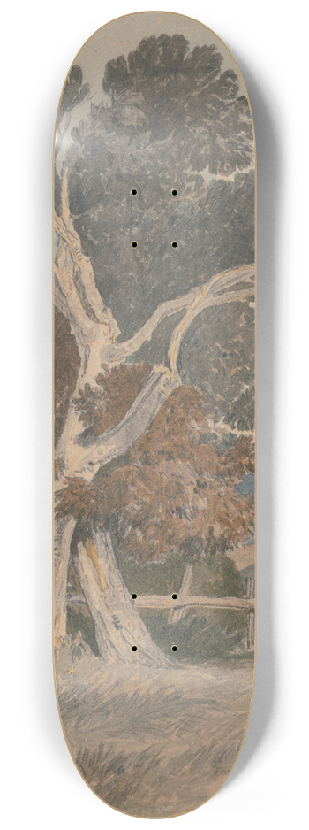 John Sell Cotman - A Group of Trees by a Fence 8.25 inch art skate deck