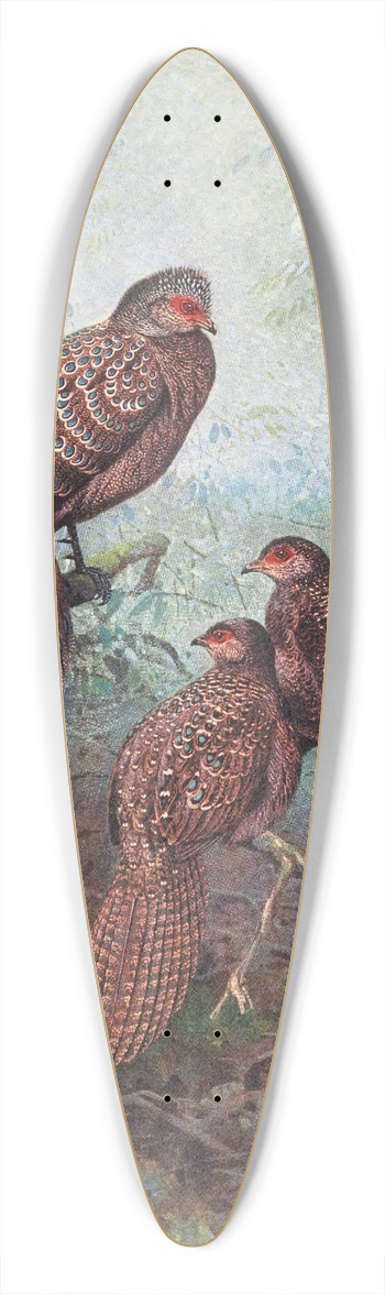 George Edward Lodge - Grey Peacock Pheasant 39.3 inch art pintail longboard deck
