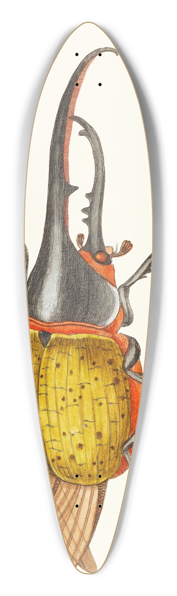 George Shaw - SCARABEUS HERCULES 39.3 inch art pintail longboard deck