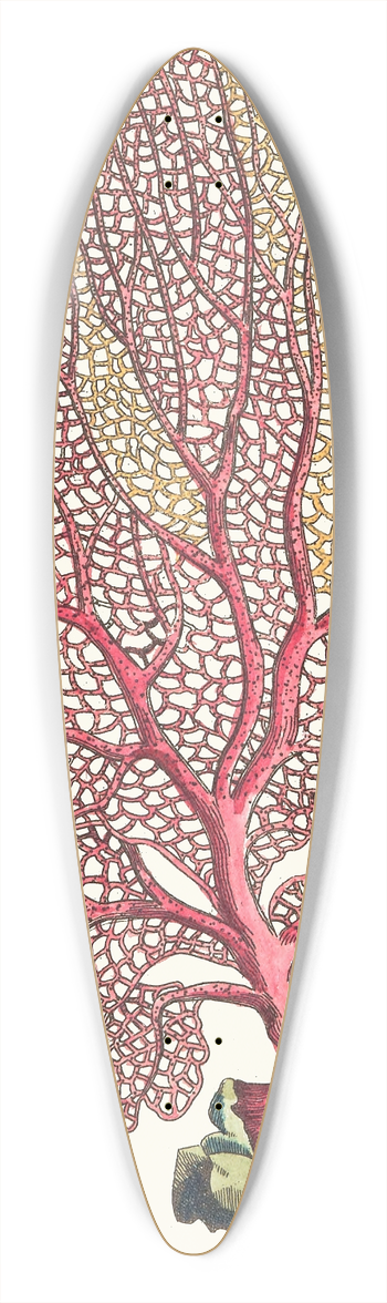 George Shaw - THE FAN GORGONIA 39.3 inch art pintail longboard deck
