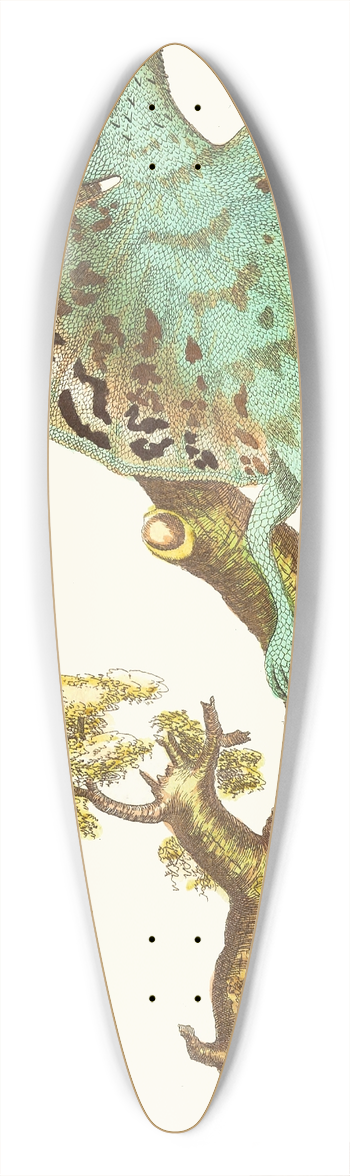 George Shaw - THE FLYING DRAGON 39.3 inch art pintail longboard deck